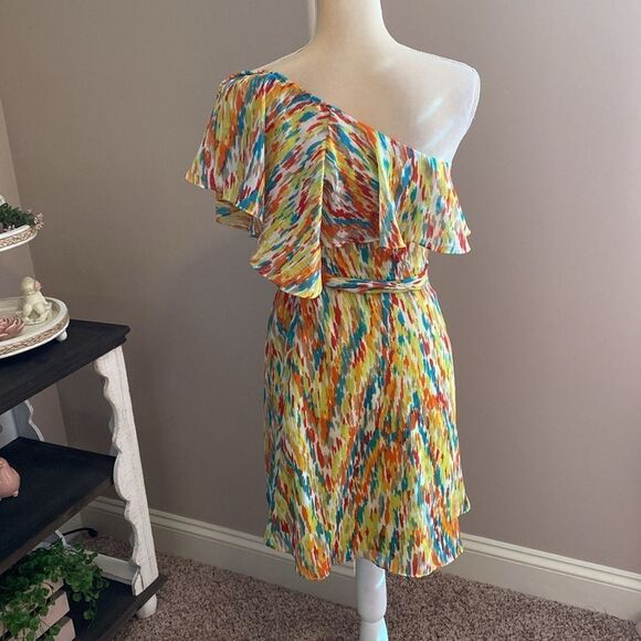 NWT Laundry by Design Dress(size 4) - Picture 6 of 8